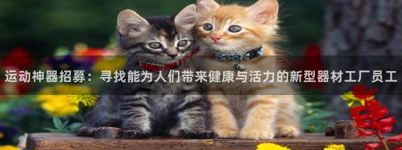 熊猫体育娱乐40996:运动神器招募:寻找能为人们带来健康与
