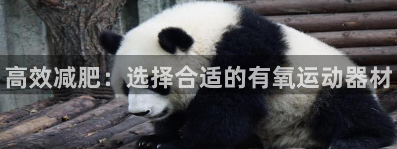 海南熊猫体育官网下载发展怎么样:高效减肥:选择合适的有氧运动